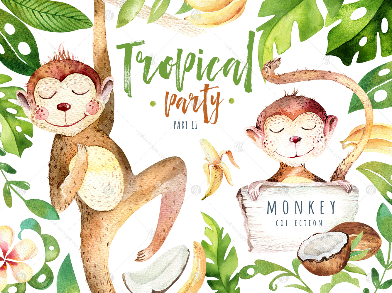 Tropical party II. Monkey collection Tropical party II. Monkey collection