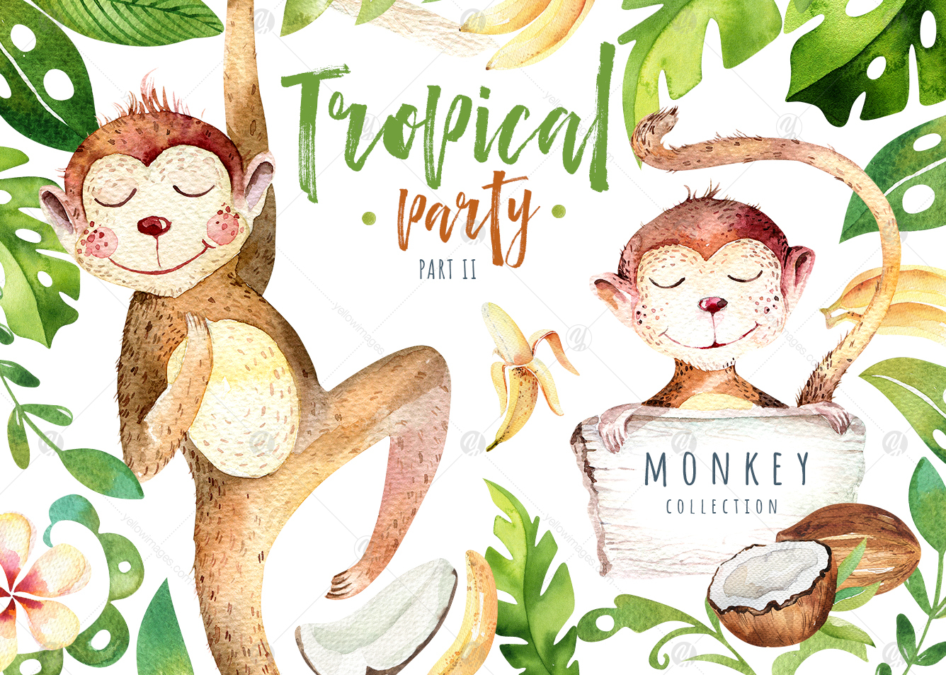 Tropical party II. Monkey collection Tropical party II. Monkey collection