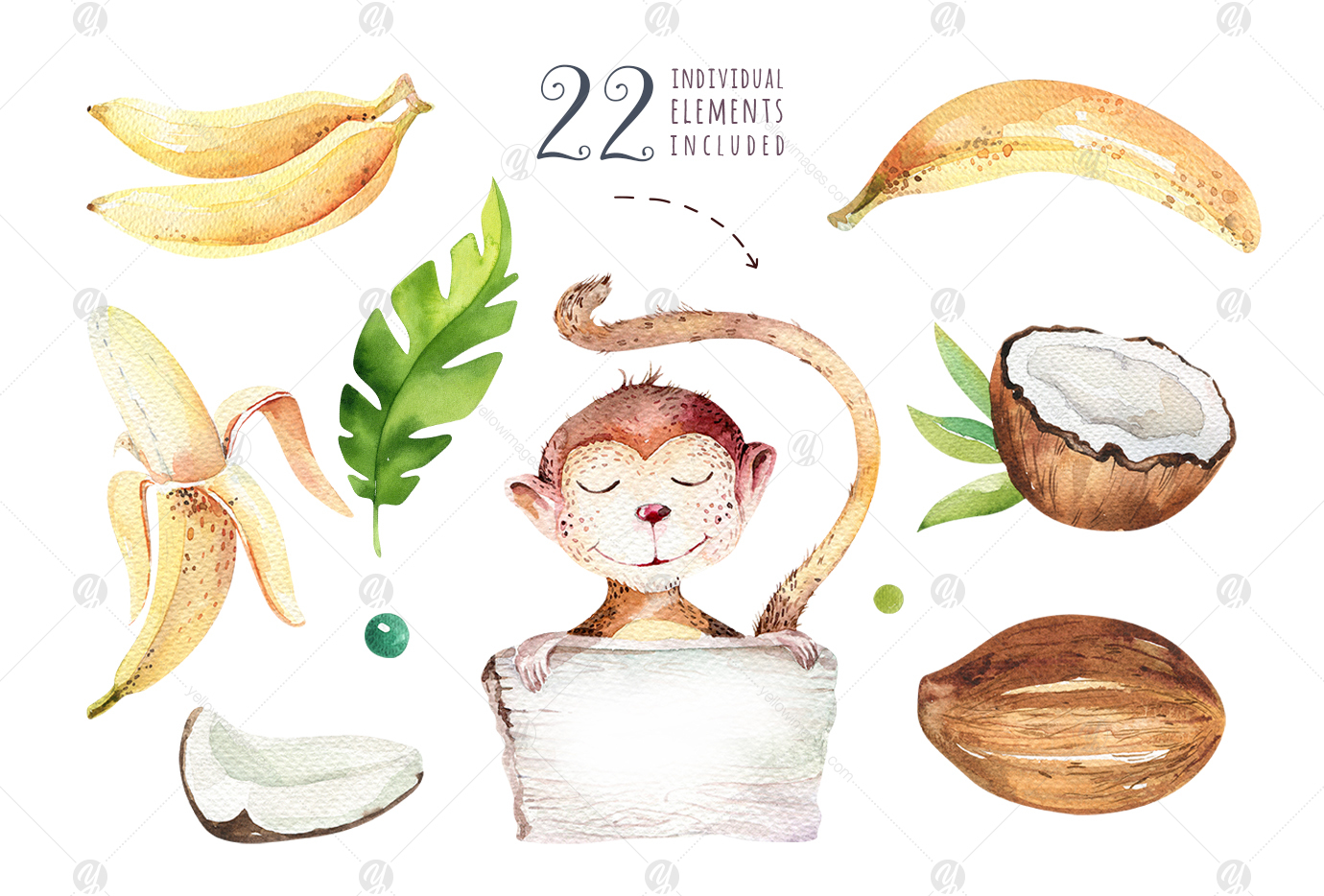 Tropical party II. Monkey collection Tropical party II. Monkey collection