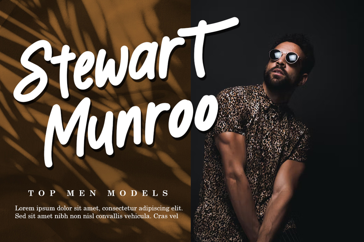 LEONARDOO | MODERN DISPLAY FONT LEONARDOO | MODERN DISPLAY FONT