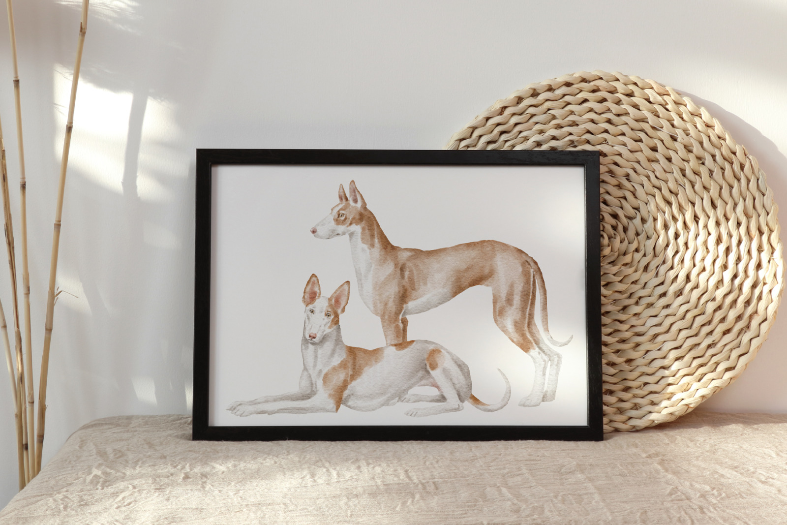 Ibizan hound dogs clipart