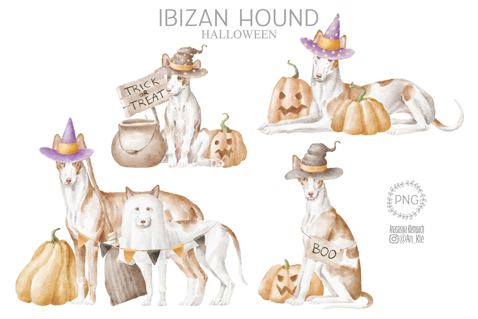 Ibizan hound dogs clipart