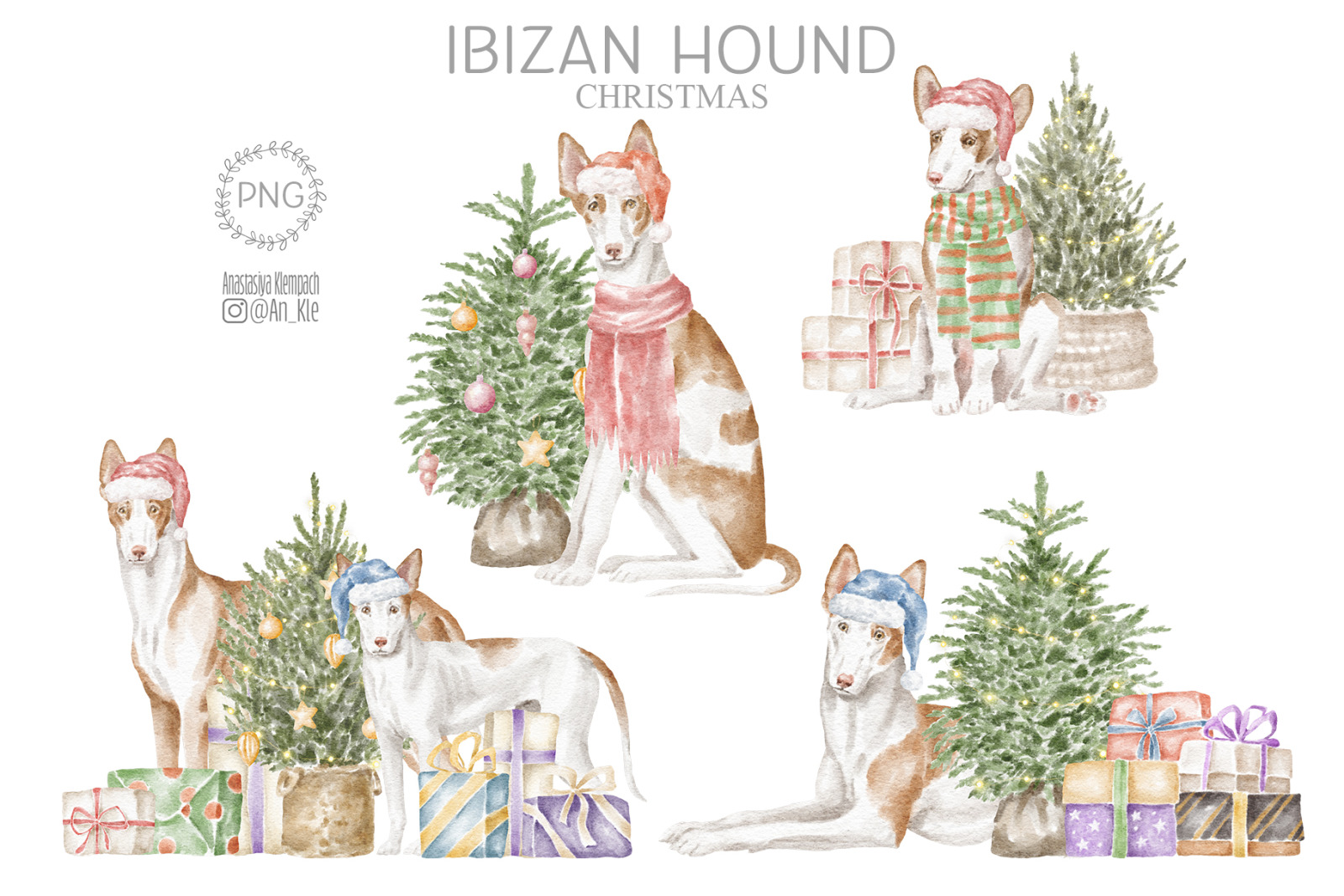 Ibizan hound dogs clipart