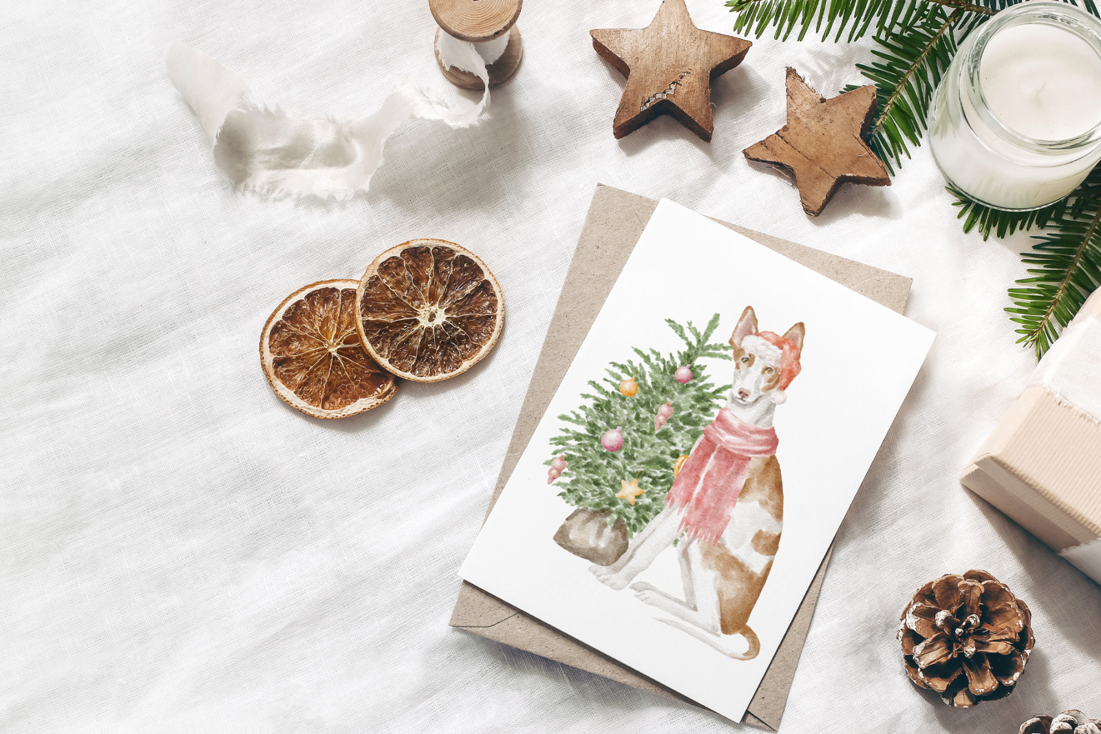 Ibizan hound dogs clipart Ibizan hound dogs clipart