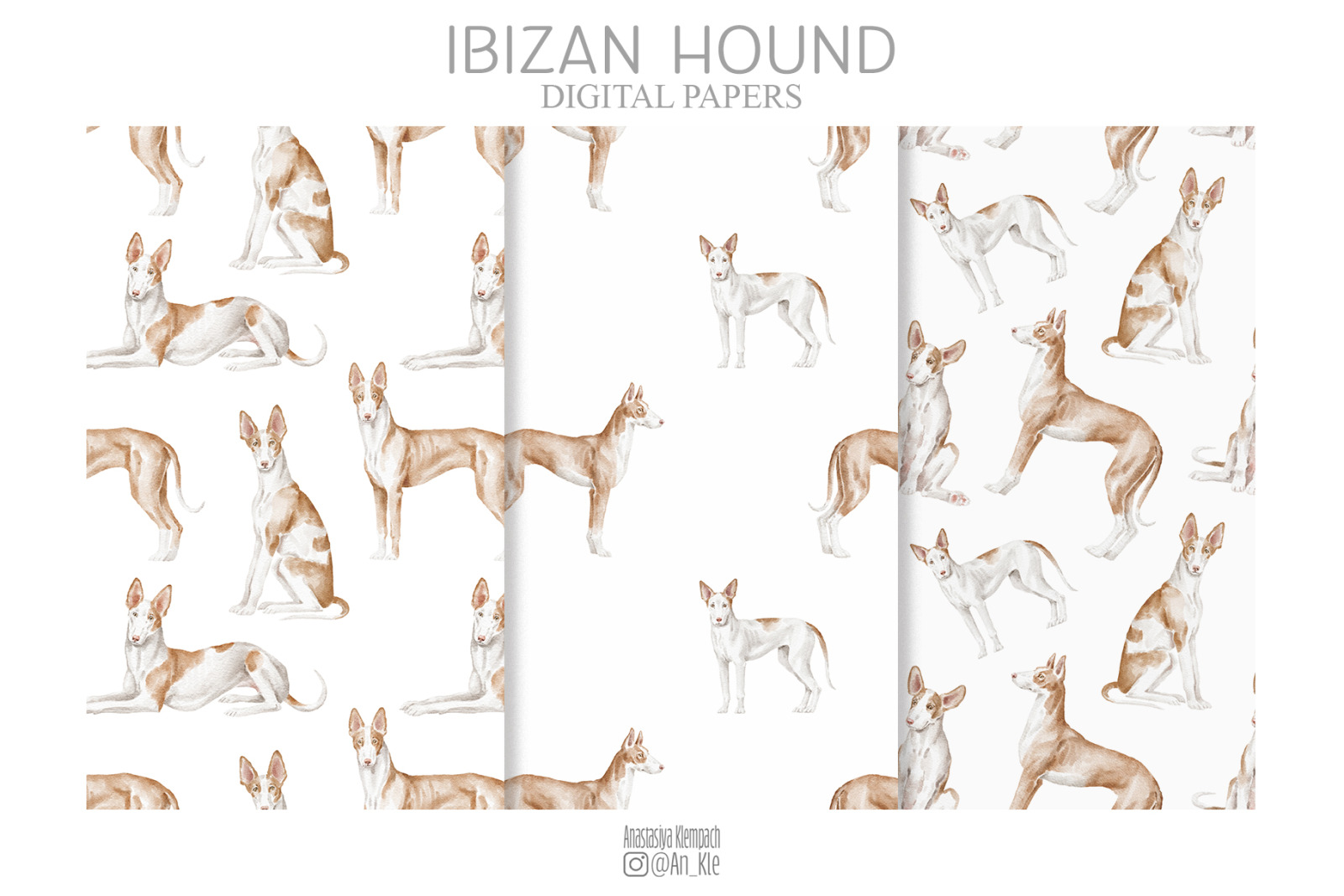 Ibizan hound dogs clipart