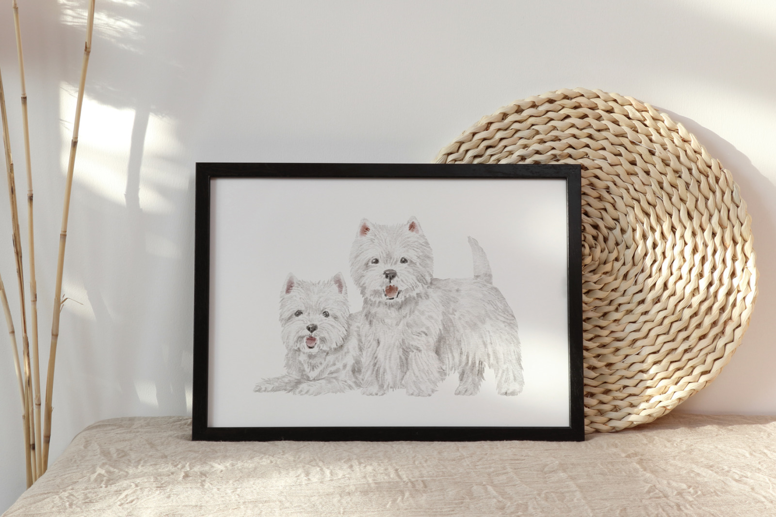 Westie dogs and puppies