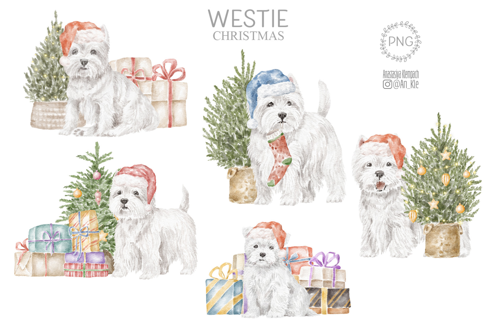 Westie dogs and puppies