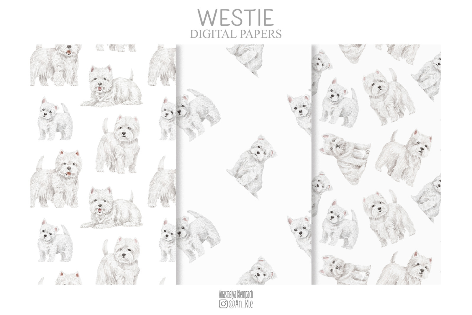 Westie dogs and puppies