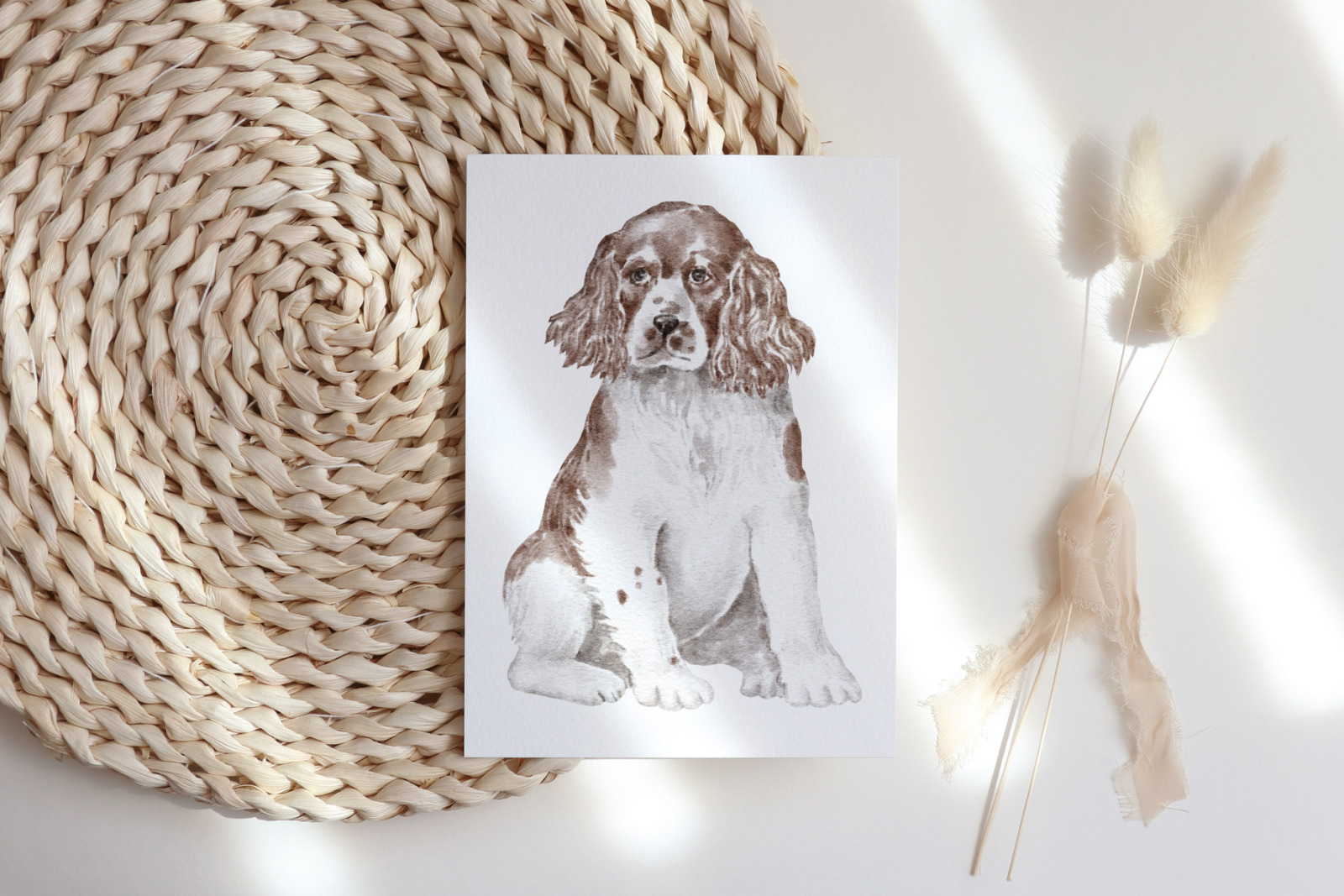 Springer Spaniel dogs and puppies clipart Springer Spaniel dogs and puppies clipart