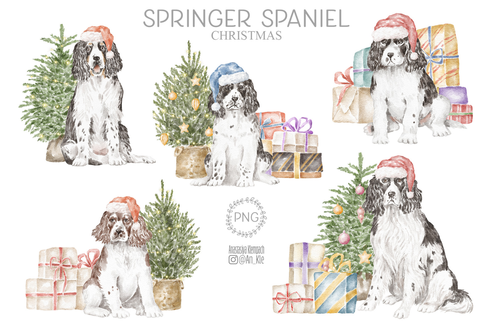 Springer Spaniel dogs and puppies clipart Springer Spaniel dogs and puppies clipart