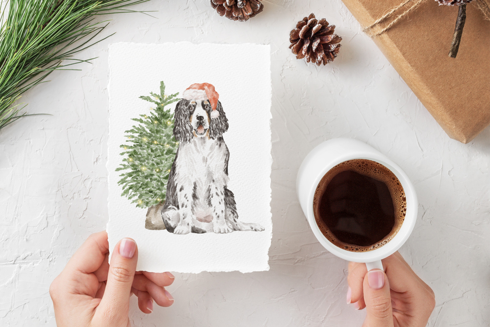 Springer Spaniel dogs and puppies clipart Springer Spaniel dogs and puppies clipart