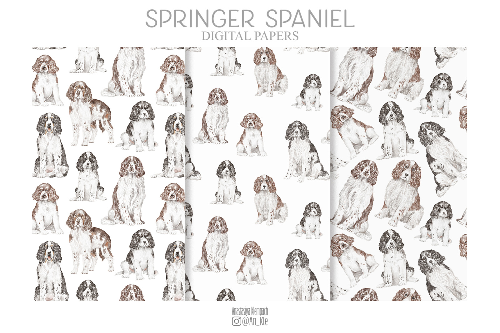 Springer Spaniel dogs and puppies clipart Springer Spaniel dogs and puppies clipart