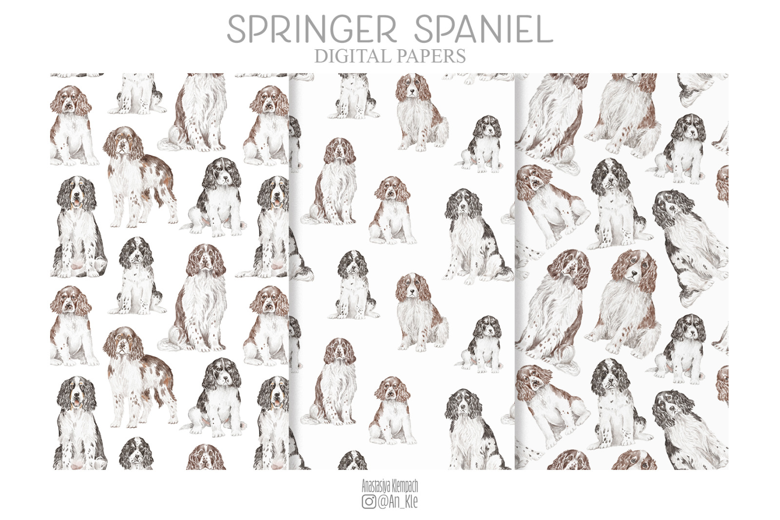 Springer Spaniel dogs and puppies clipart