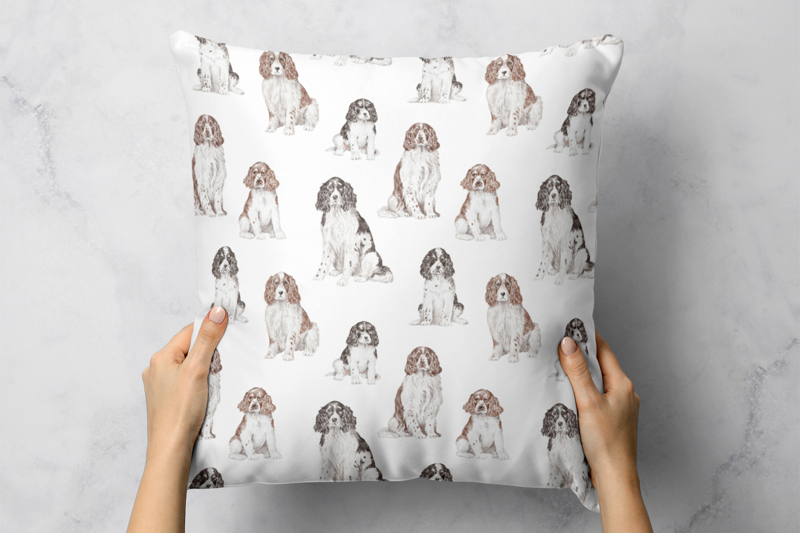 Springer Spaniel dogs and puppies clipart