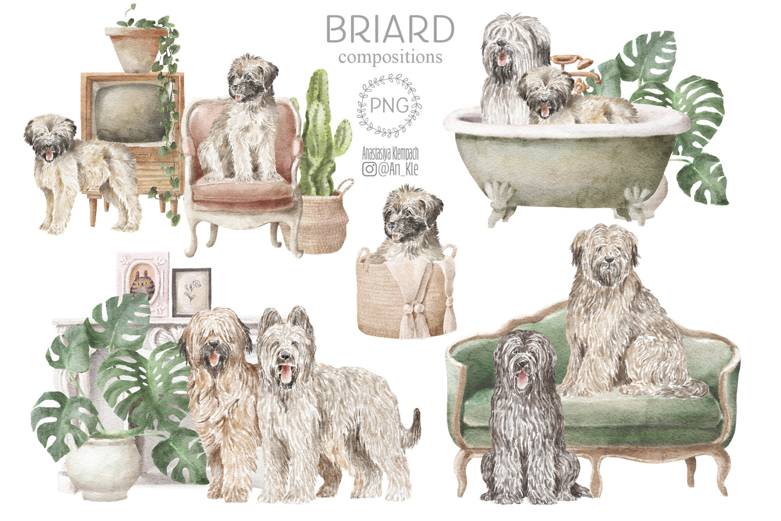 Briard dogs and puppies