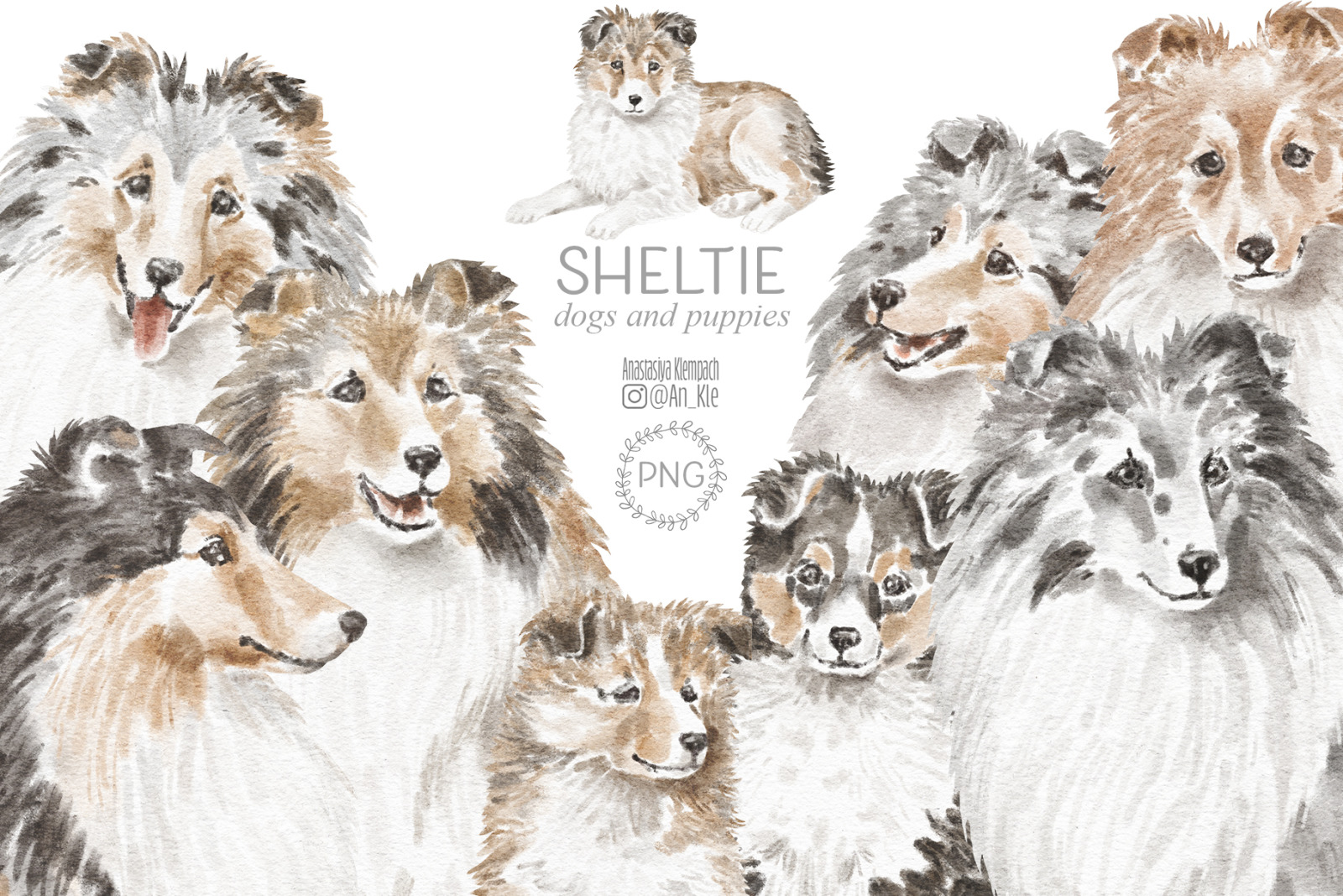 Sheltie dogs and puppies clipart