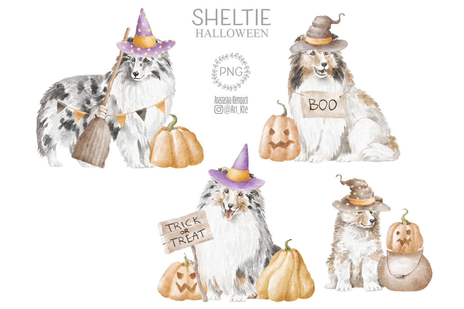 Sheltie dogs and puppies clipart