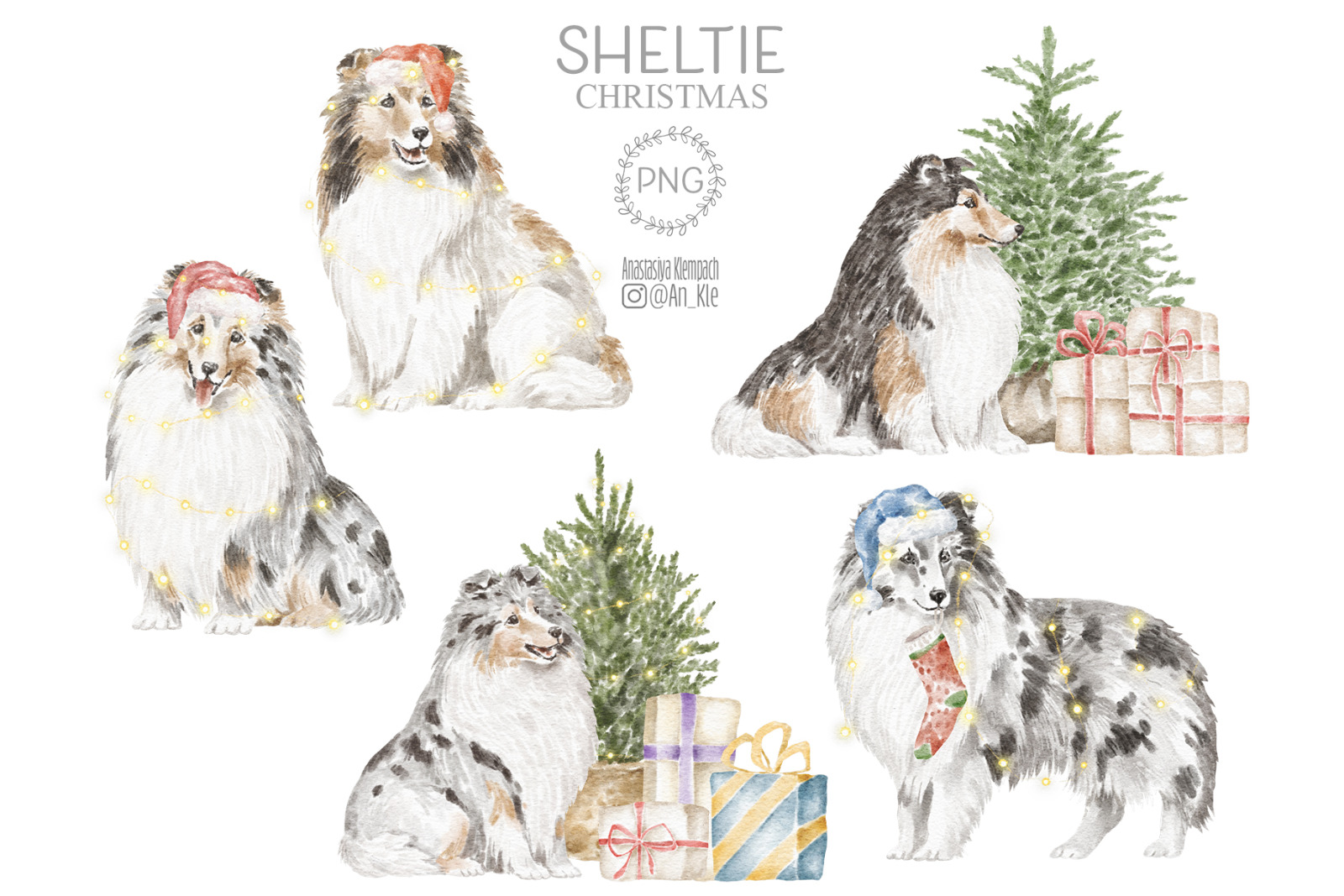 Sheltie dogs and puppies clipart