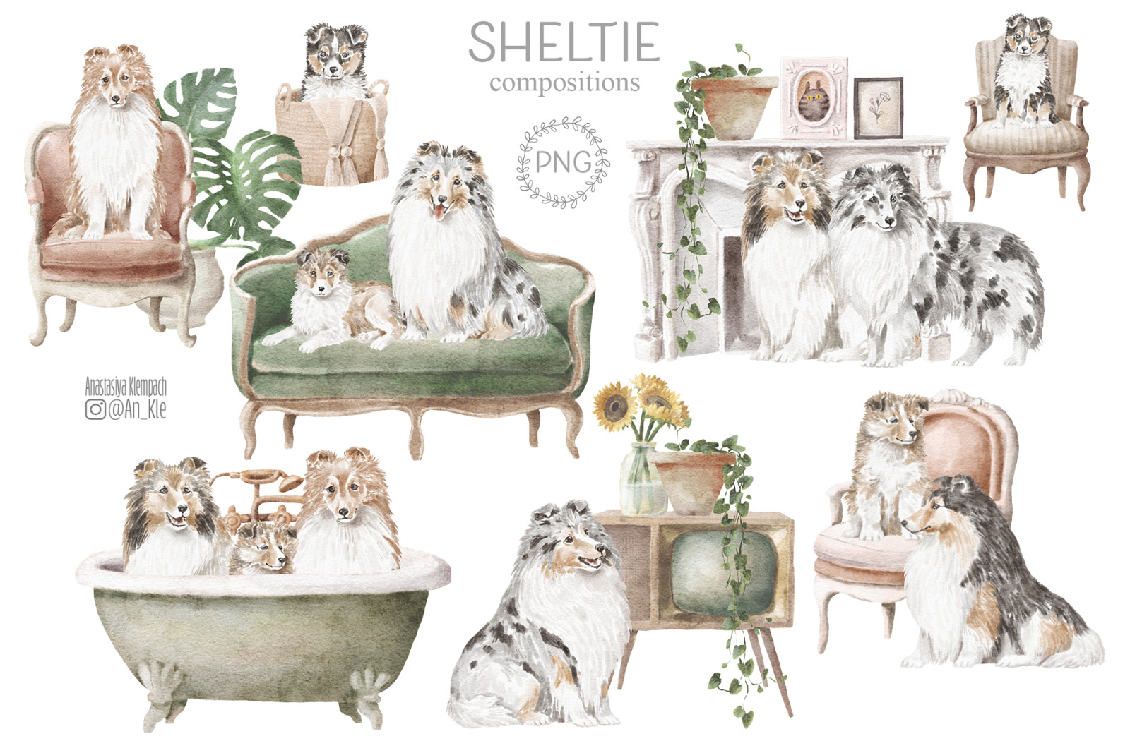 Sheltie dogs and puppies clipart