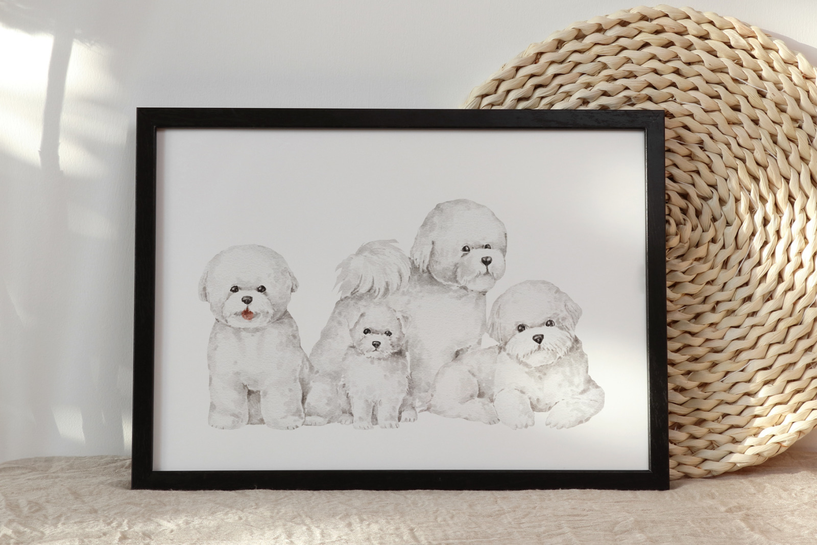 Bichon Frise dogs clipart