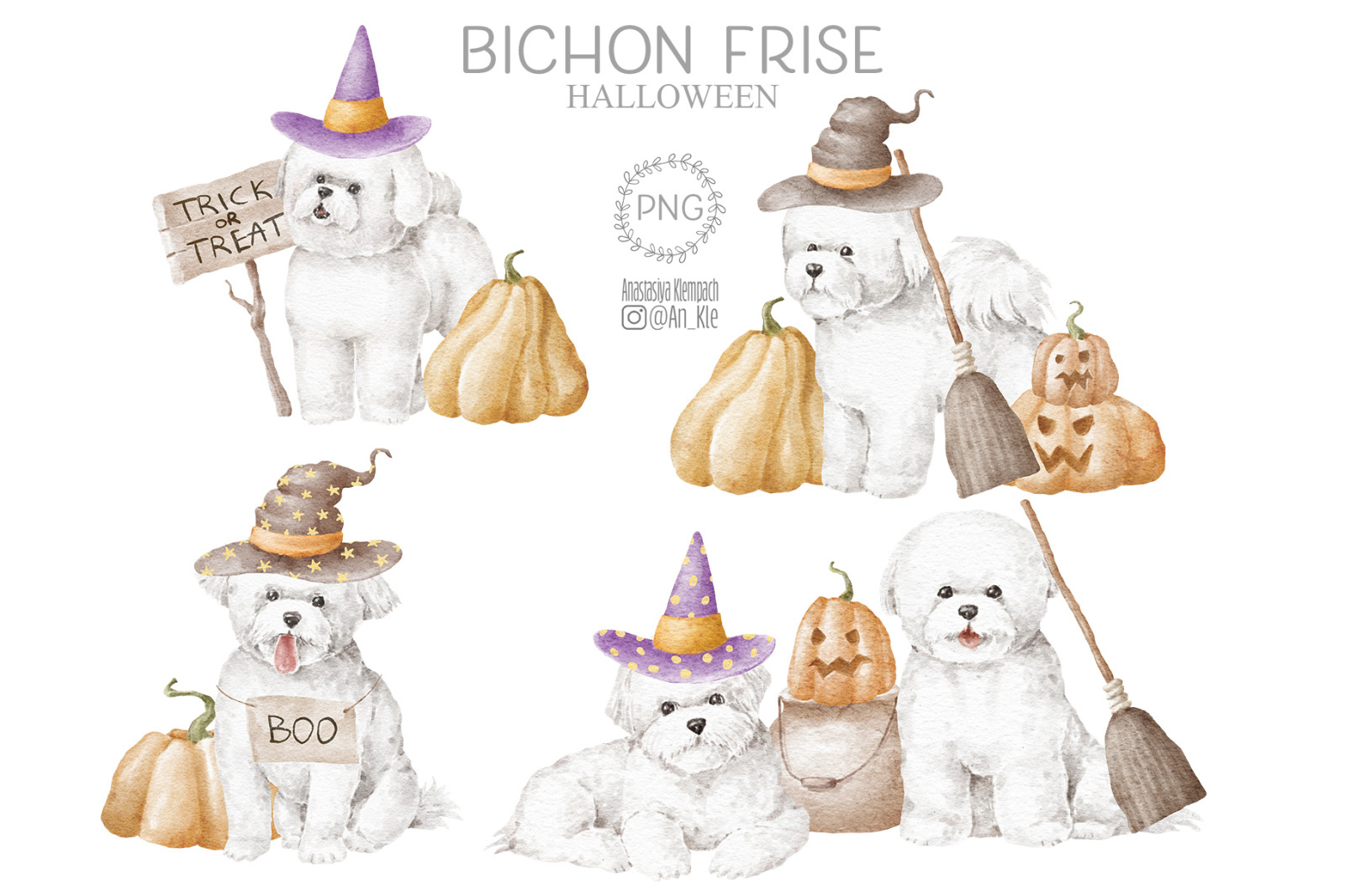 Bichon Frise dogs clipart