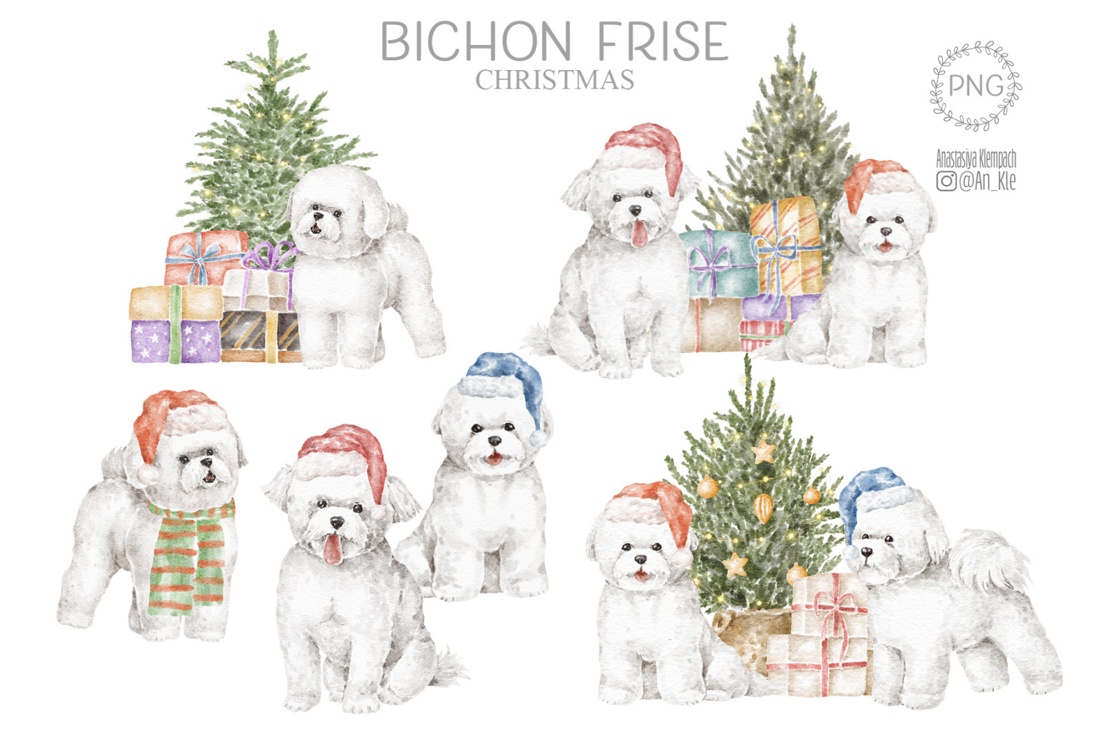 Bichon Frise dogs clipart