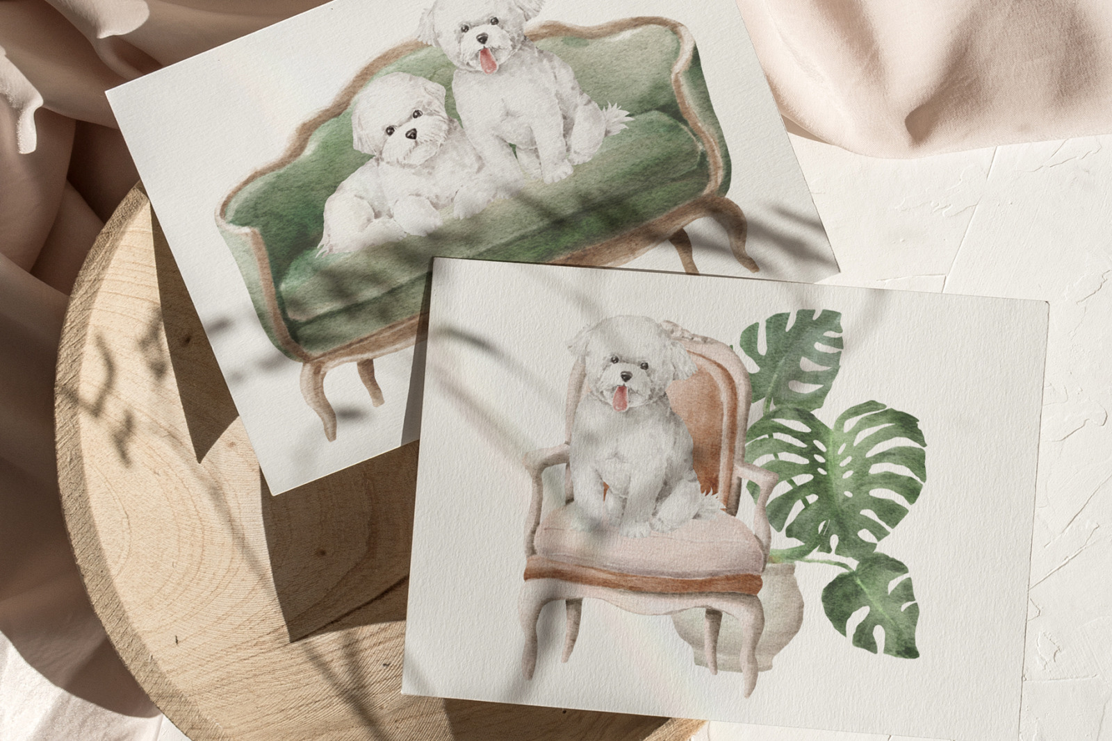 Bichon Frise dogs clipart