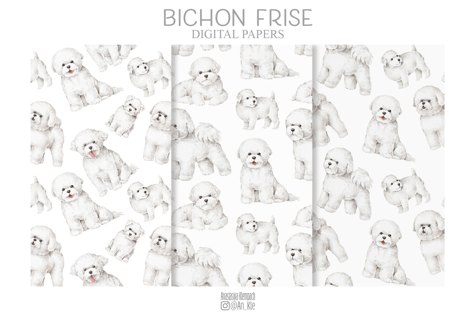 Bichon Frise dogs clipart