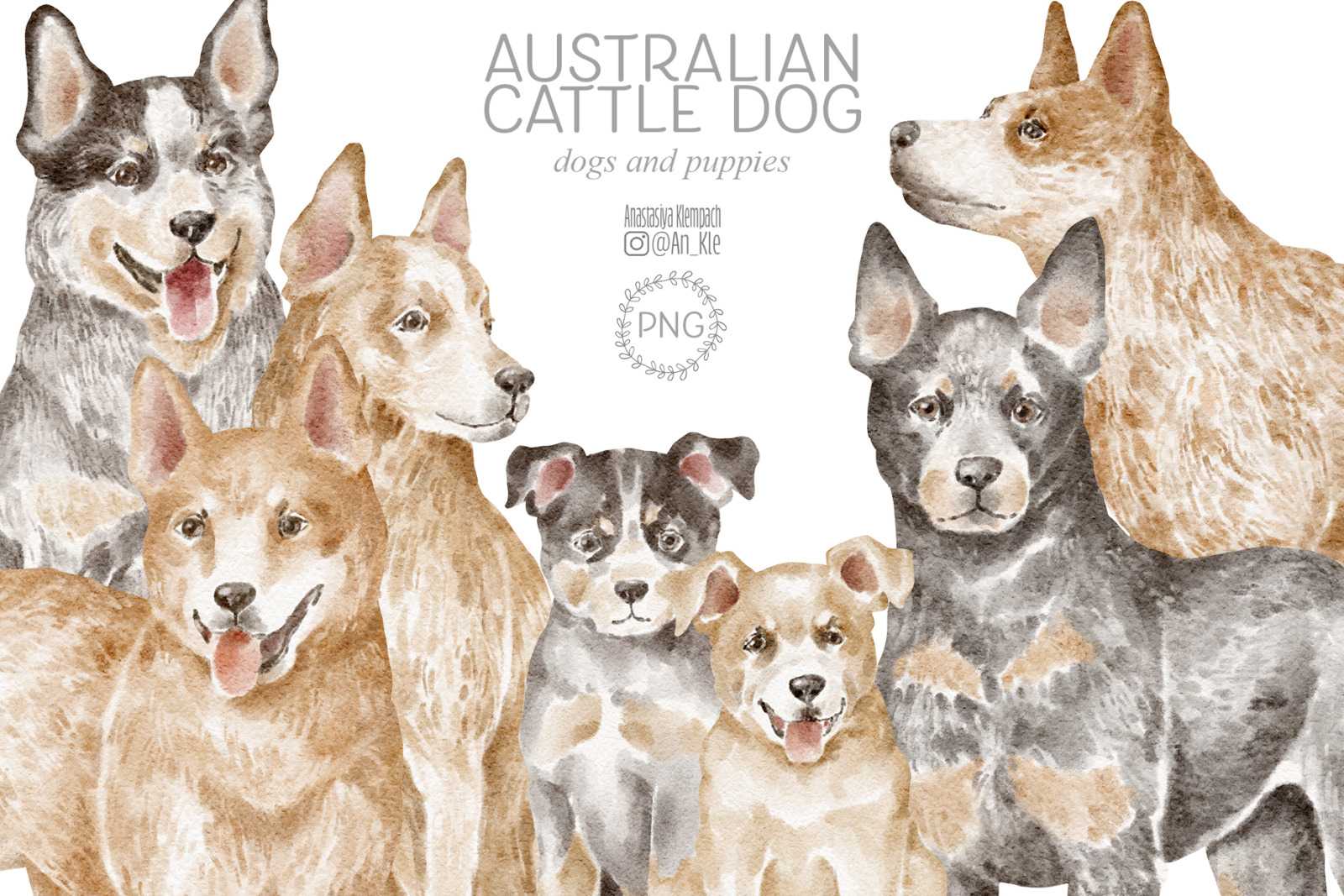 Australian Cattle Dog clipart Australian Cattle Dog clipart