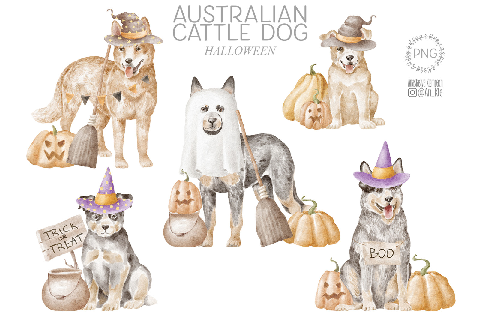 Australian Cattle Dog clipart