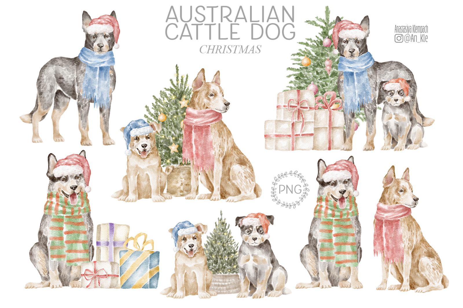 Australian Cattle Dog clipart