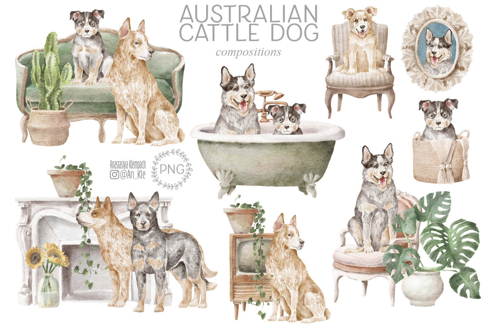 Australian Cattle Dog clipart