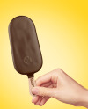 Ice Cream in a Hand Mockup