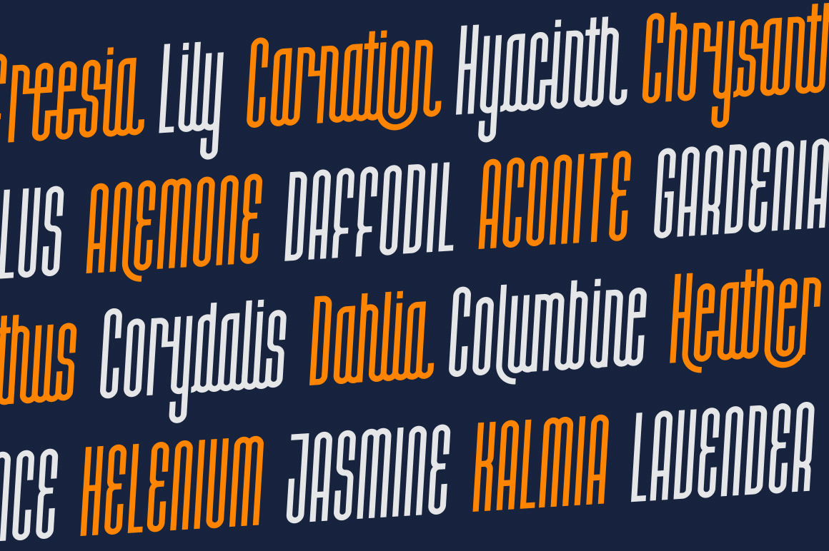 Halokia Font Halokia Font