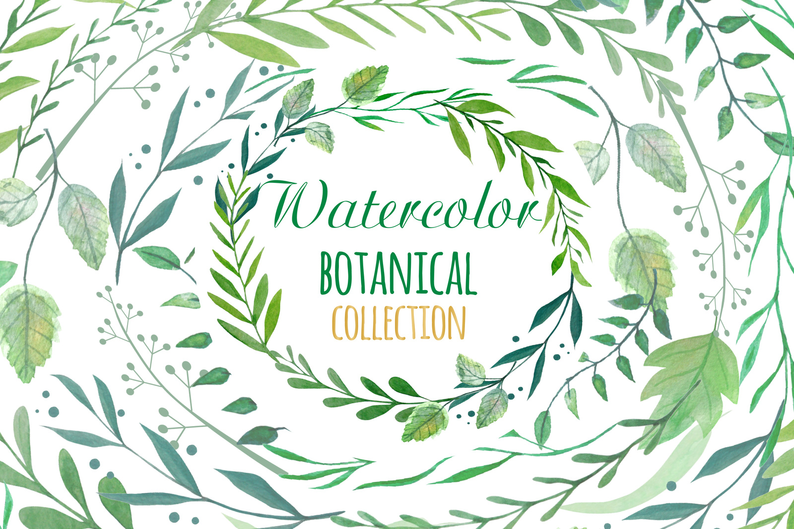 Watercolor botanical collection Watercolor botanical collection