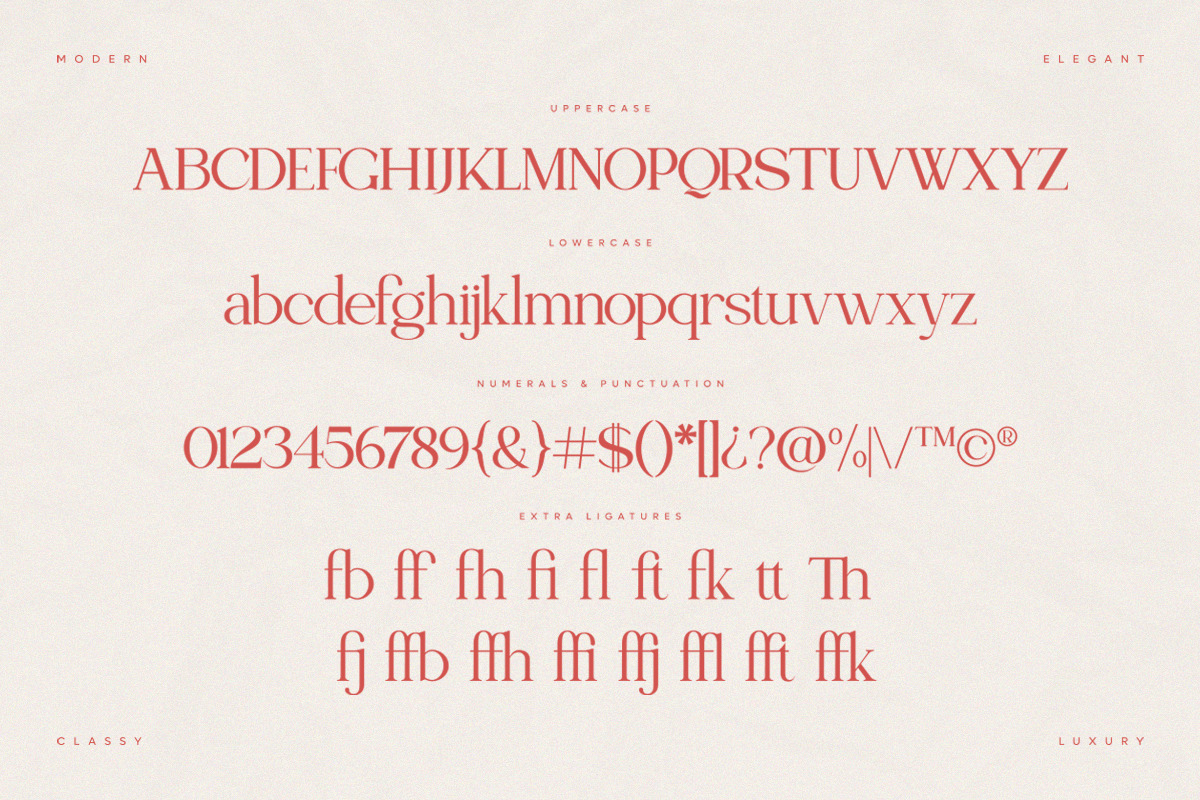 Olivera | Chic Modern Serif