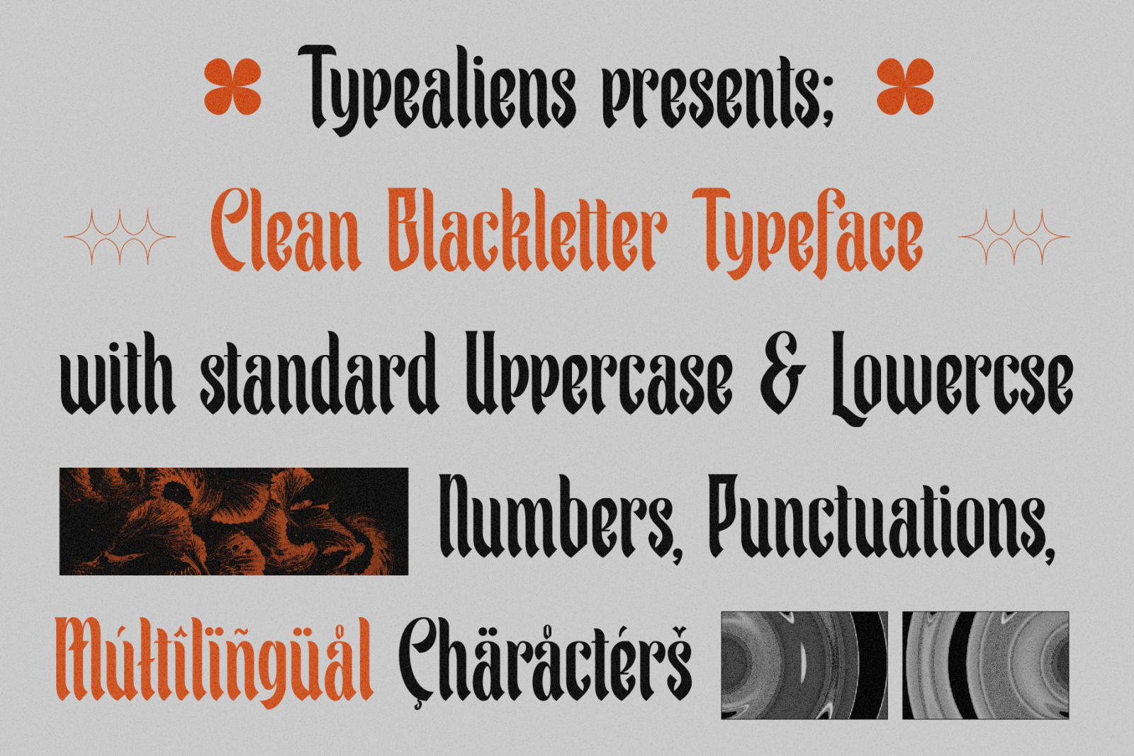 Avrente Font Avrente Font