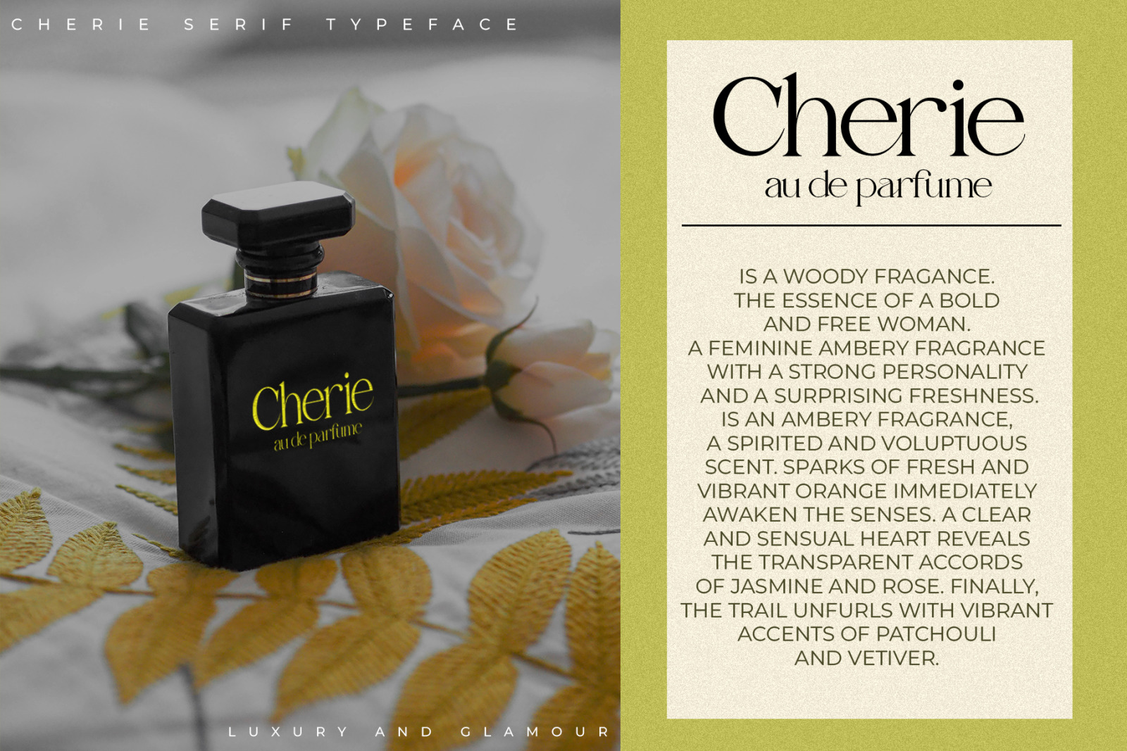 Cherie | Classic Modern Serif