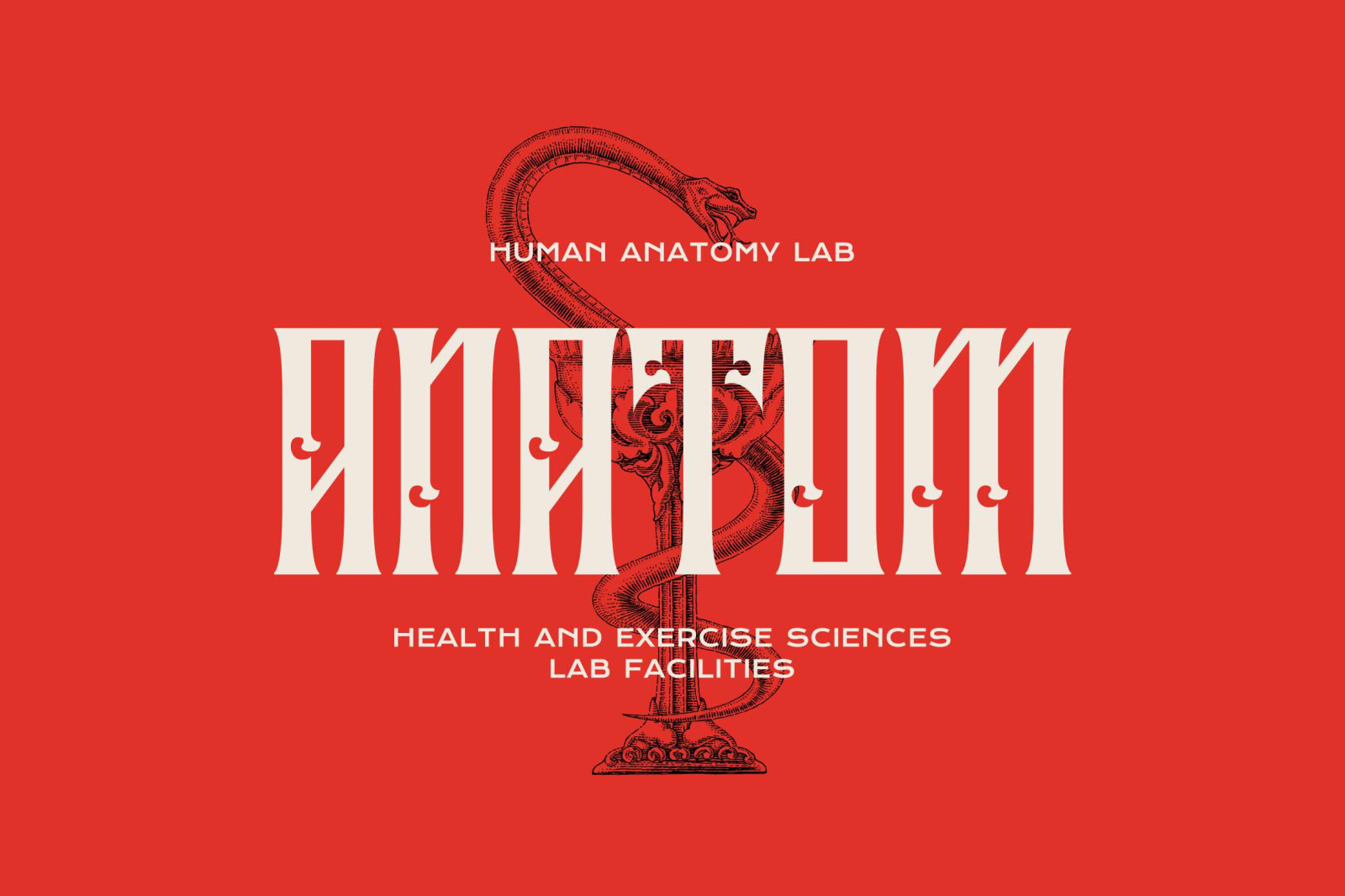 Liberok-Blackletter Display Font Liberok-Blackletter Display Font