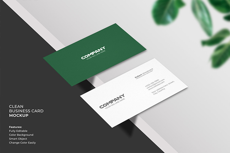 Businesss Card / Branding Mockup Templates