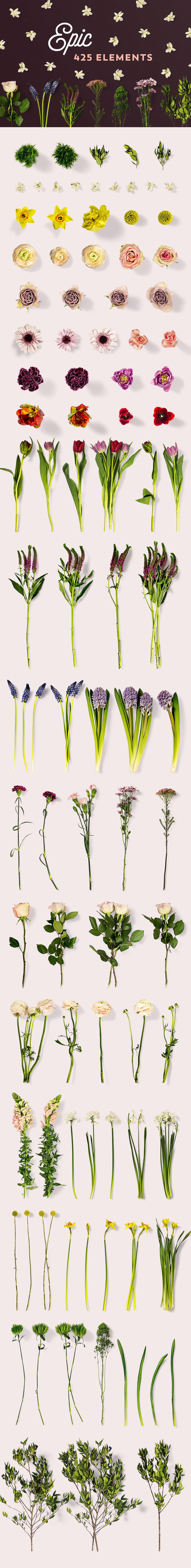 Flower Market Vol.1 Flower Market Vol.1