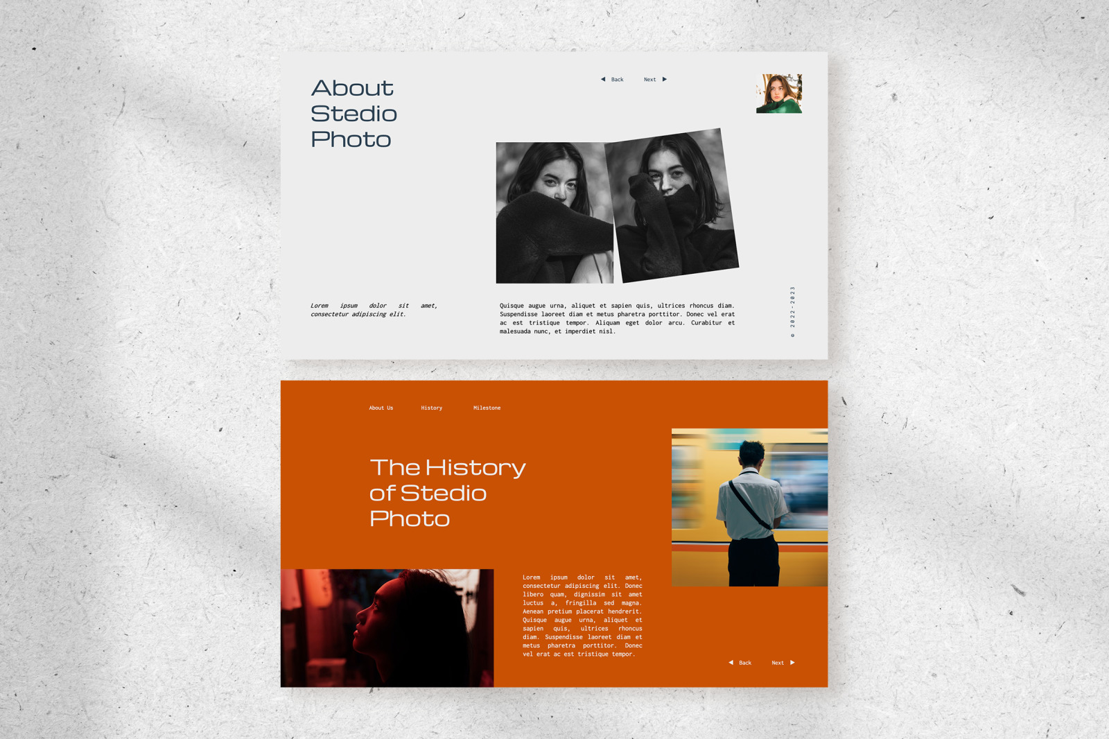 Stedio – white aesthetic minimalist studio company profile presentation template