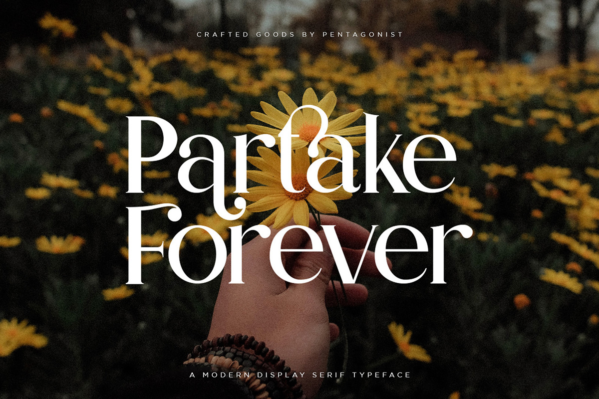 Partake | Modern Serif Partake | Modern Serif