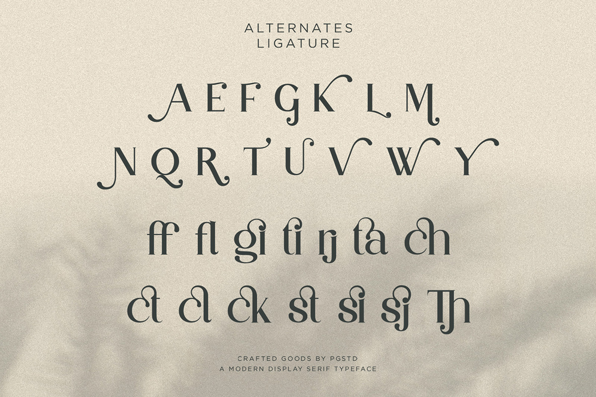 Partake | Modern Serif Partake | Modern Serif