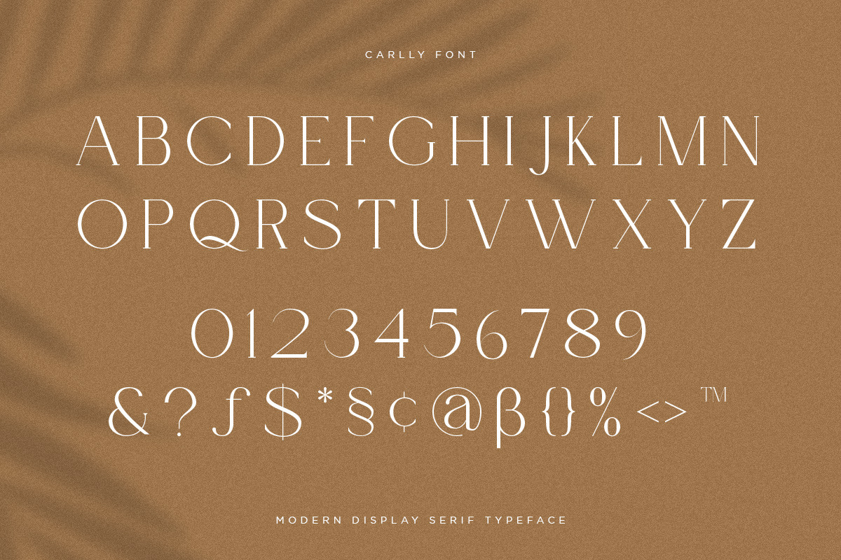 Carlly | Modern Elegant Carlly | Modern Elegant