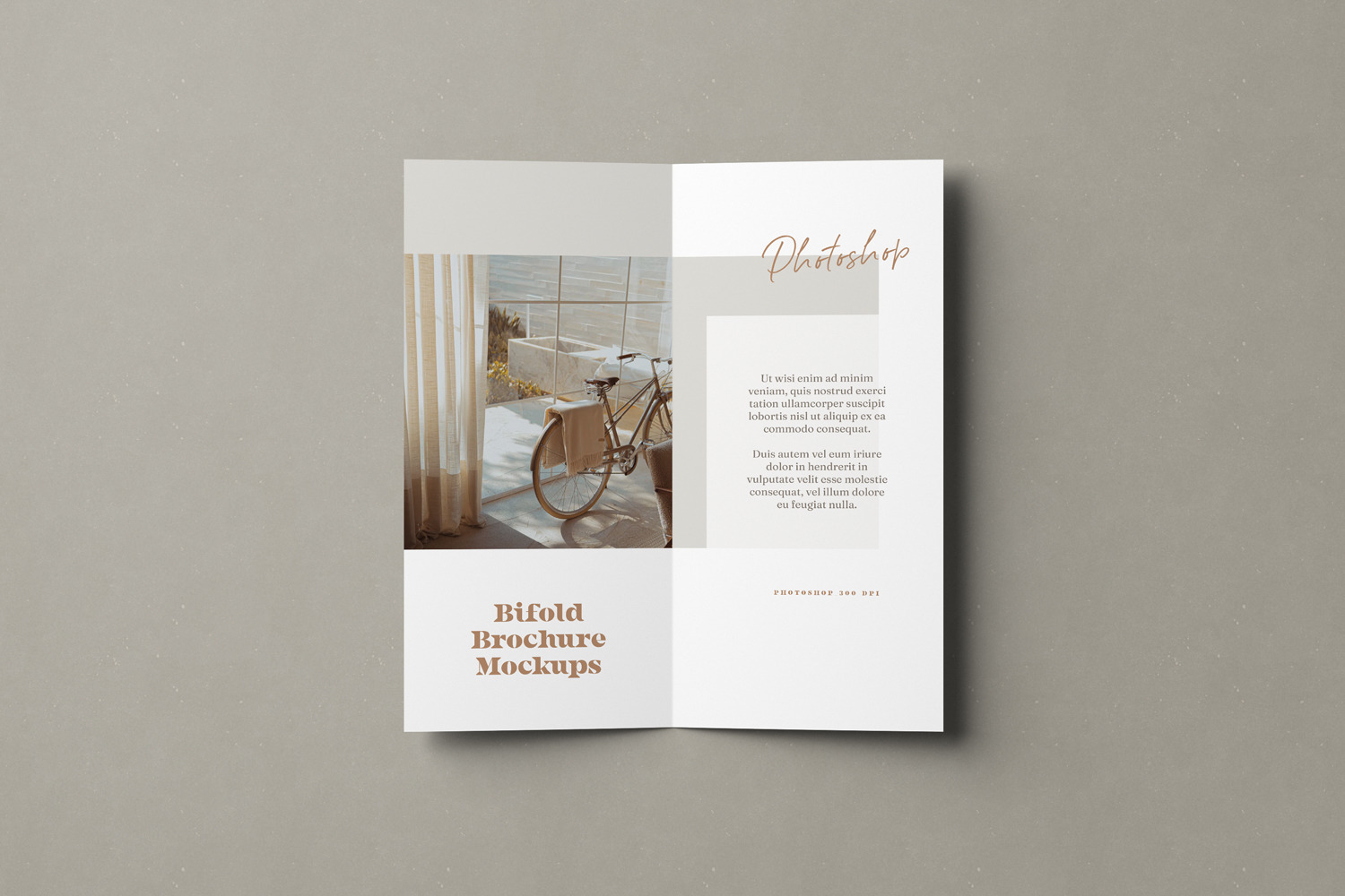 Bifold DL Brochure Mockups