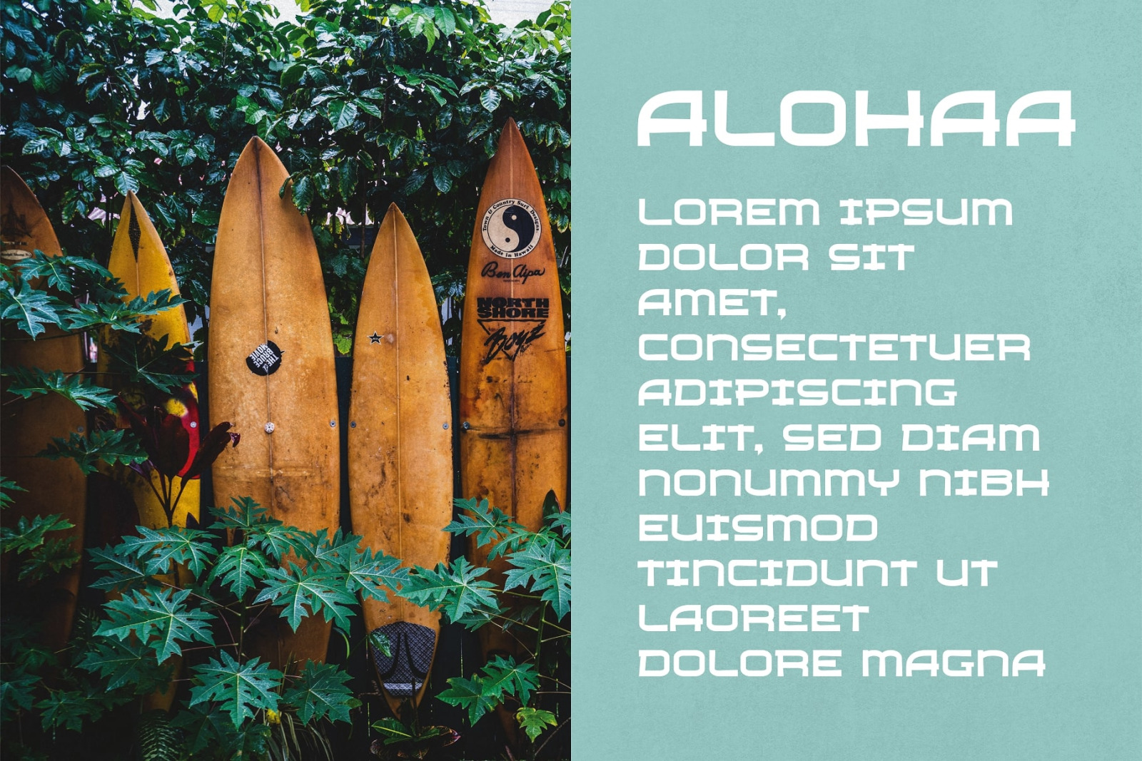 Boomerang - Hawaiian Typeface