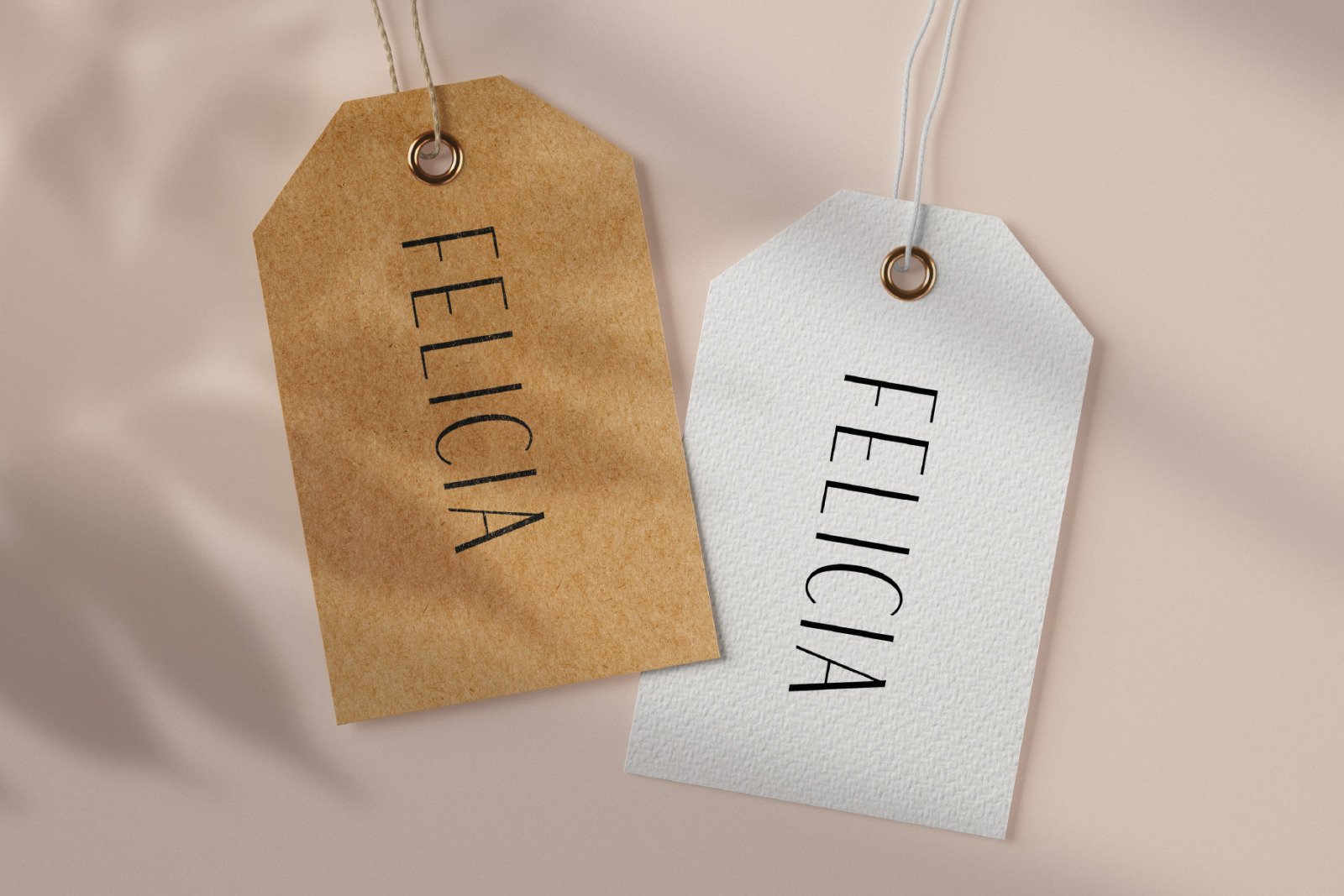 Felicia - Sleek Beauty Typeface Felicia - Sleek Beauty Typeface