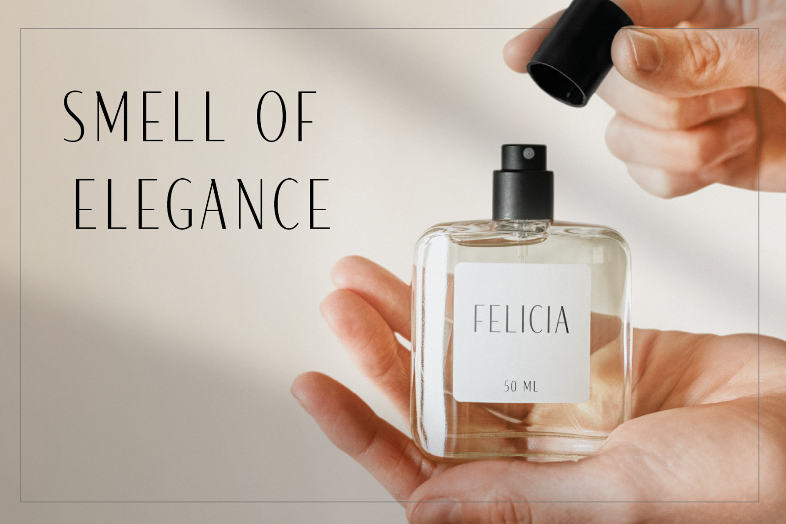 Felicia - Sleek Beauty Typeface Felicia - Sleek Beauty Typeface