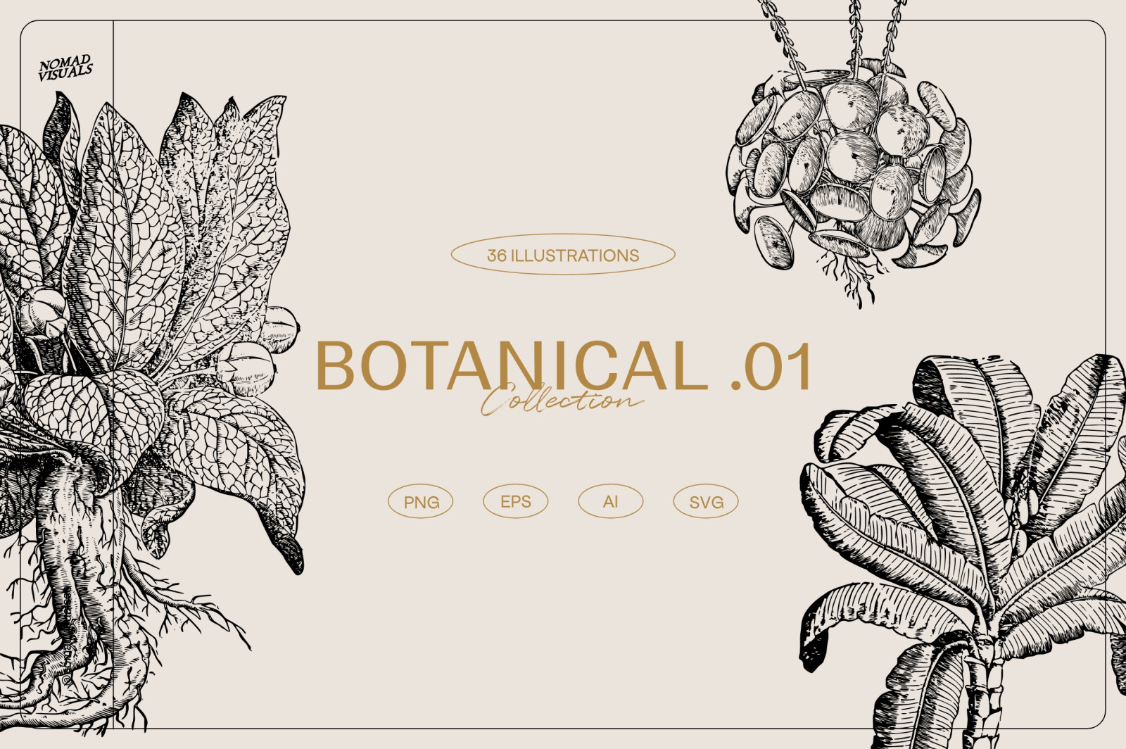 Botanical Collection Botanical Collection
